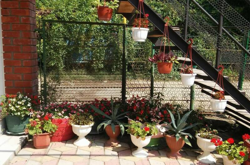 Изображение Изображение гостиницы &quot;Гостевой дом «Тихая гавань»&quot; #3 #3