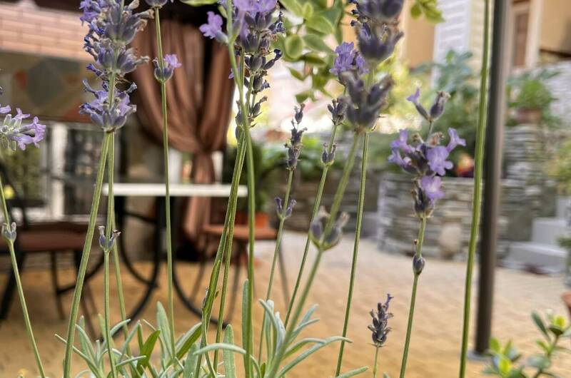 Изображение Изображение гостиницы &quot;Гостевой дом «Владислав»&quot; #3 #3