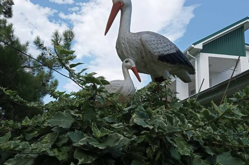 Изображение Изображение квартиры "Апартаменты под ключ «Анна»" #1 #1