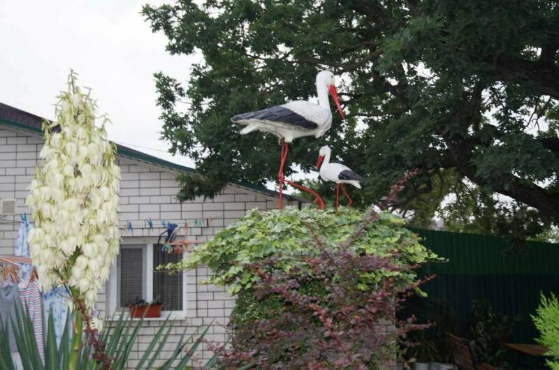 Изображение Изображение квартиры "Апартаменты под ключ «Анна»" #2 #2