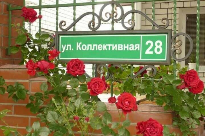 Изображение Изображение квартиры "Апартаменты под ключ «Анна»" #6 #6