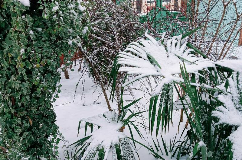 Изображение Изображение квартиры "Апартаменты под ключ «Анна»" #8 #8