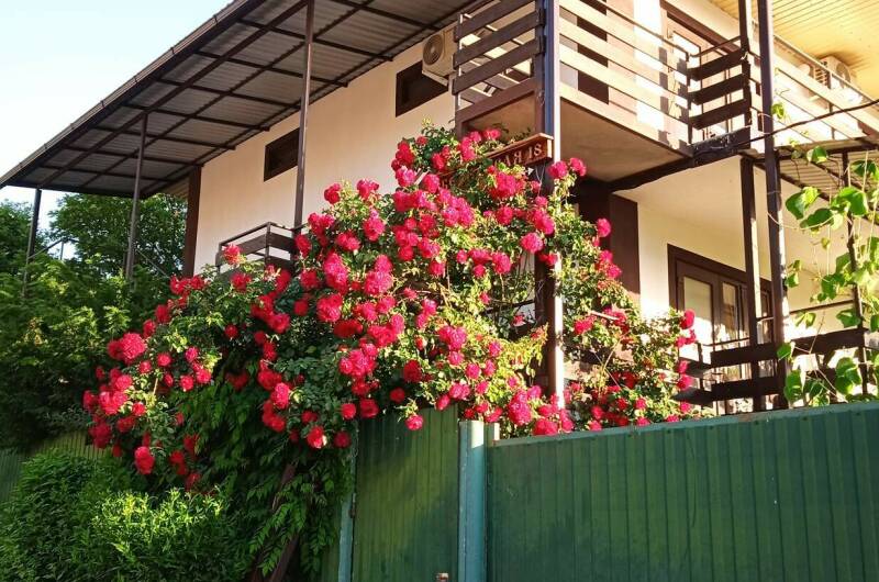 Изображение Изображение гостиницы &quot;Гостевой дом «На Береговой 18»&quot; #1 #1