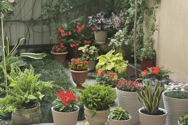 Изображение Изображение гостиницы "Гостевой дом «В гостях у Валентины»" #3 #3