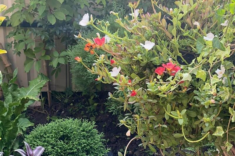 Изображение Изображение гостиницы "Гостевой дом «В гостях у Валентины»" #4 #4