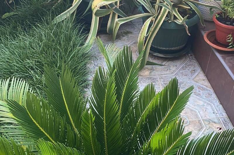 Изображение Изображение гостиницы "Гостевой дом «В гостях у Валентины»" #6 #6