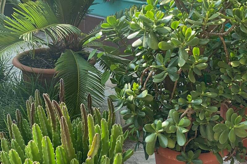 Изображение Изображение гостиницы "Гостевой дом «В гостях у Валентины»" #7 #7