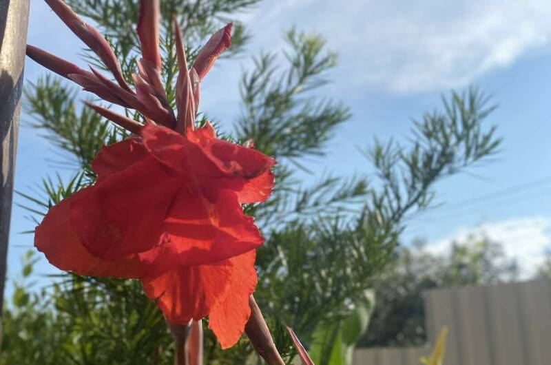 Изображение Изображение гостиницы "Гостевой дом «В гостях у Валентины»" #8 #8