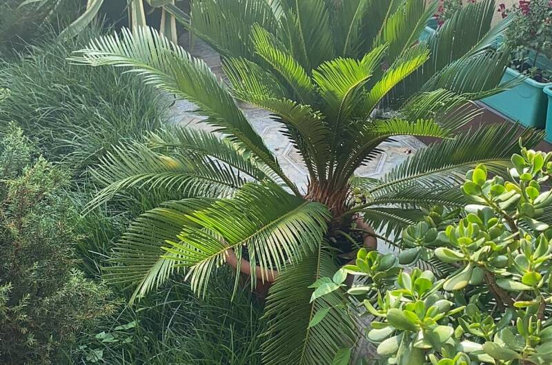 Изображение Изображение отеля / гостиницы "Гостевой дом «В гостях у Валентины»" #11 #9