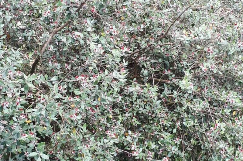 Изображение Изображение гостиницы "Гостевой дом «Алые паруса»" #2 #2