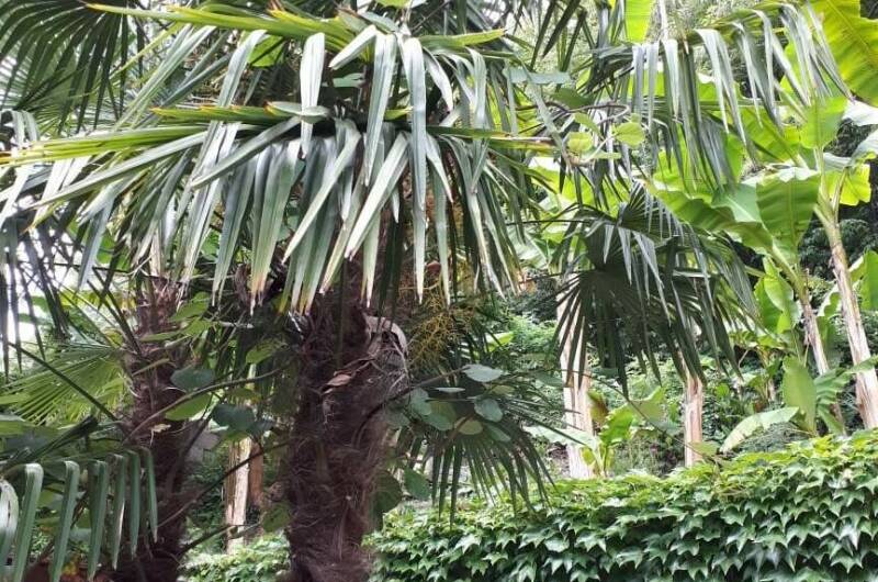 Изображение Изображение гостиницы "Гостевой дом «Алые паруса»" #5 #5