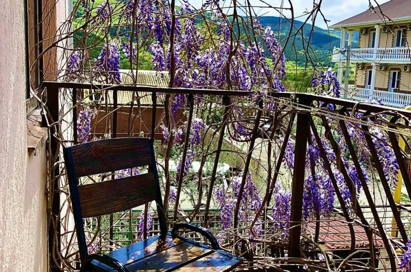 Изображение Изображение гостиницы "Дом «Золотая рыбка»" #3 #3