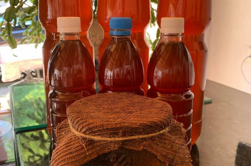 Изображение Изображение гостиницы &quot;Гостевой дом «Пицунда»&quot; #6 #6