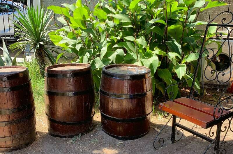 Изображение Изображение отеля / гостиницы "Гостевой дом «Пицунда»" #11 #9