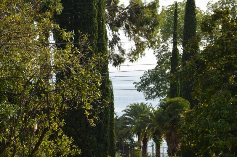 Изображение Изображение гостиницы "Отель «Афалина»" #3 #3