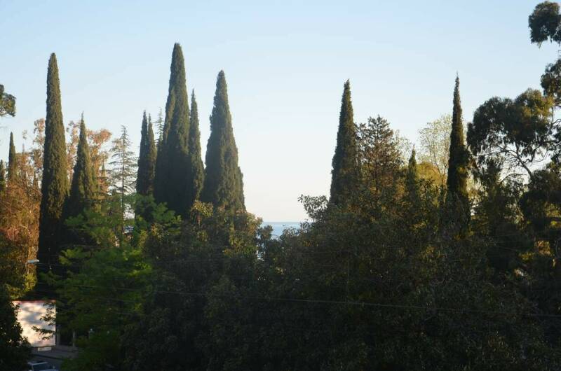 Изображение Изображение гостиницы "Отель «Афалина»" #7 #7