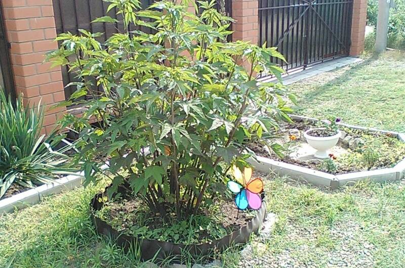 Изображение Изображение квартиры "Дом под ключ со всеми удобствами" #3 #3