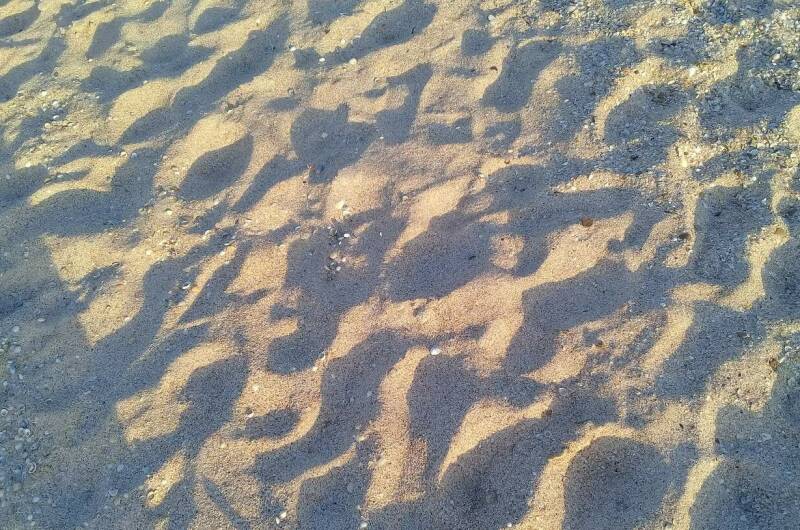 Изображение Изображение гостиницы "Дом «Персона» с кухней в номерах" #3 #3