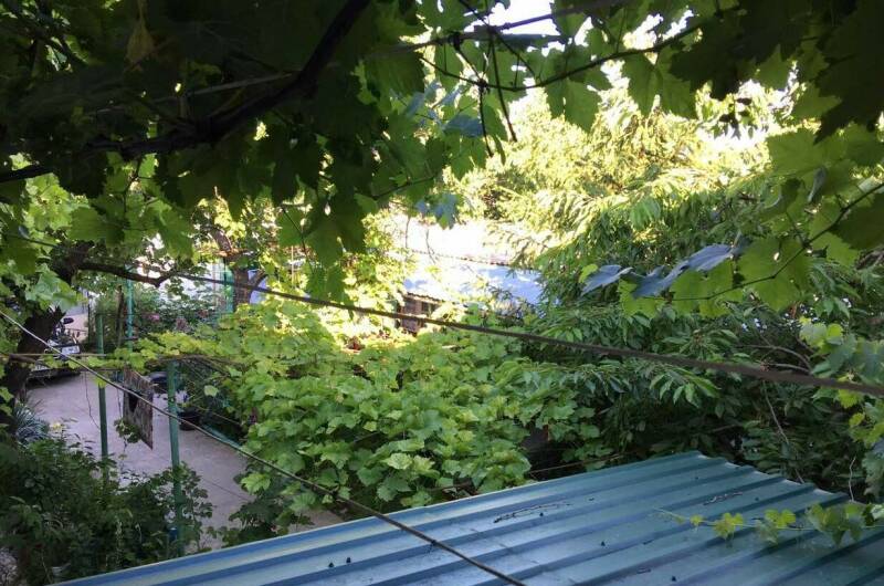 Изображение Изображение гостиницы &quot;Частный сектор «На Головина»&quot; #5 #5