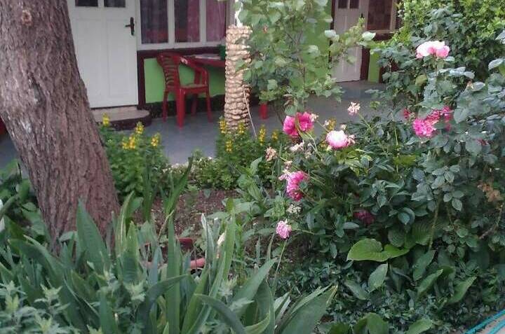 Изображение Изображение гостиницы &quot;Частный сектор «На Головина»&quot; #7 #7