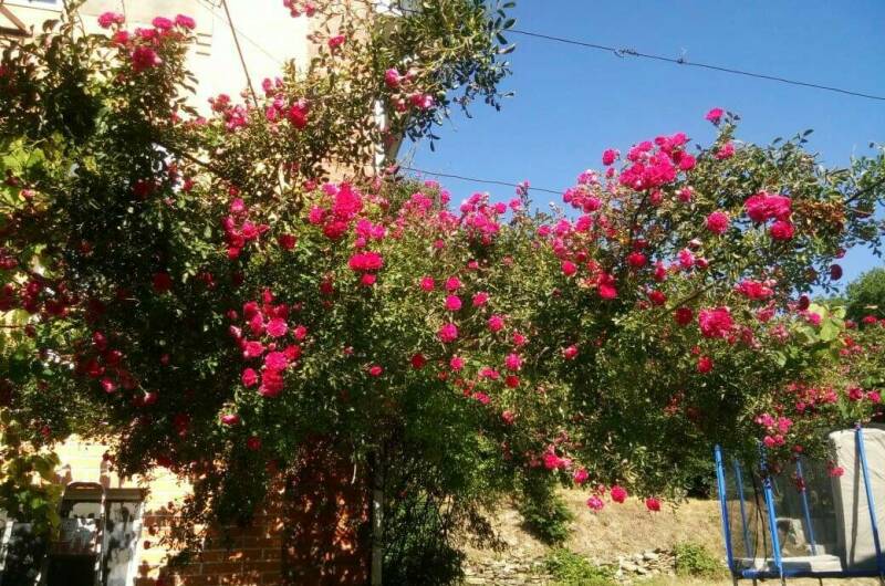 Изображение Изображение отеля / гостиницы "Гостевой дом «Счастливый»" #10 #8