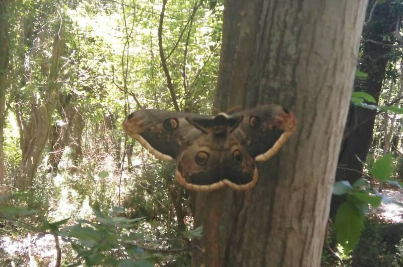 Изображение Изображение квартиры "Домик в лесу под ключ" #3 #3