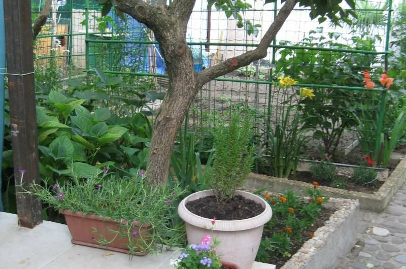 Изображение Изображение квартиры &quot;Дом под ключ в центре&quot; #6 #6