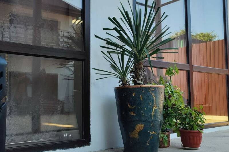 Изображение Изображение отеля / гостиницы "Мини-гостиница «Оазис»" #11 #9