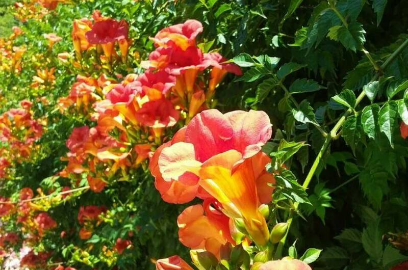 Изображение Изображение квартиры &quot;Домик под ключ «Вишня»&quot; #2 #2