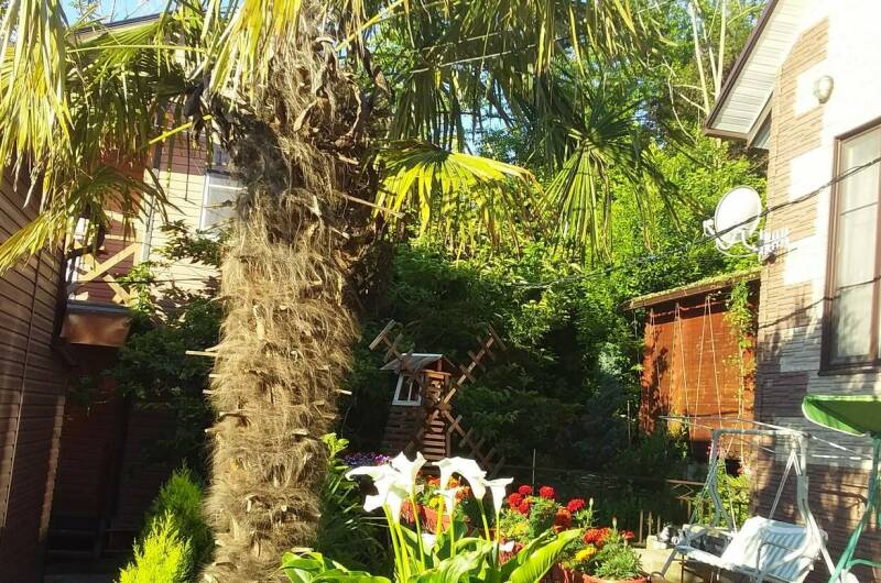 Изображение Изображение квартиры &quot;Домик под ключ «Вишня»&quot; #3 #3