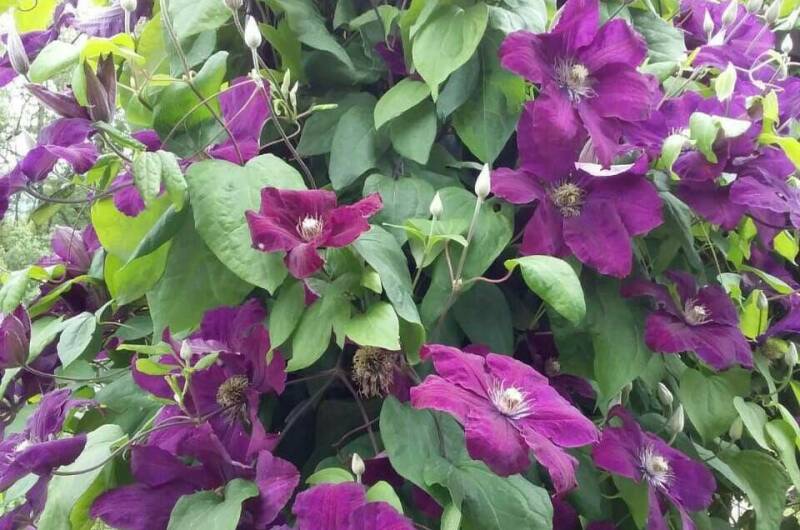 Изображение Изображение квартиры &quot;Домик под ключ «Вишня»&quot; #4 #4