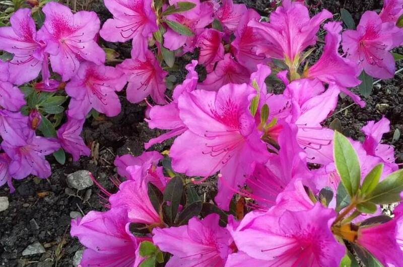 Изображение Изображение квартиры &quot;Домик под ключ «Вишня»&quot; #5 #5