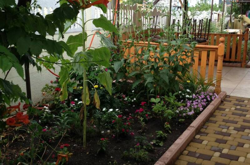 Изображение Изображение квартиры &quot;Дом под ключ на 5 человек&quot; #7 #7