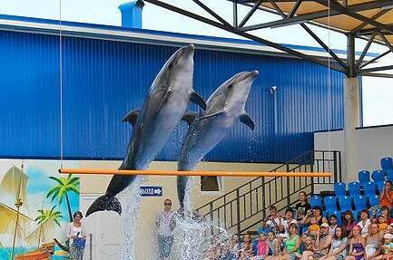 Изображение Изображение гостиницы "Гостевой дом «Солнечный»" #7 #7