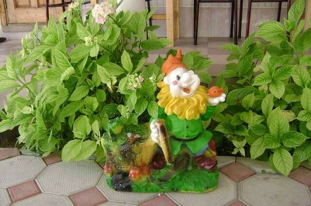 Изображение Изображение отеля / гостиницы "Гостевой дом «Встреча»" #11 #9