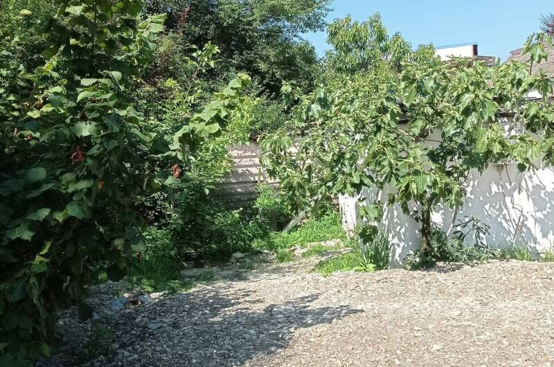 Изображение Изображение гостиницы &quot;Частный сектор «У Алены и Александра»&quot; #2 #2