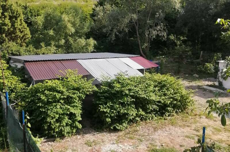 Изображение Изображение гостиницы &quot;Частный сектор «У Алены и Александра»&quot; #7 #7