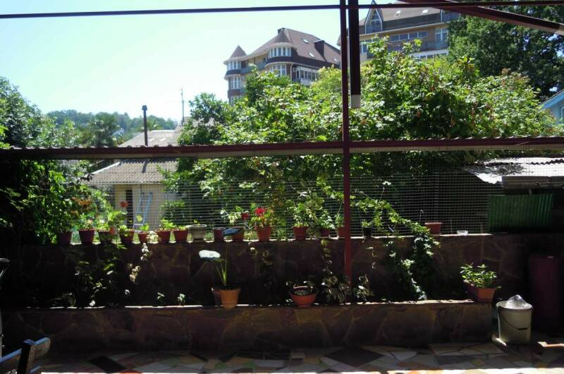 Изображение Изображение гостиницы &quot;Гостевой дом «Дельфин»&quot; #5 #5