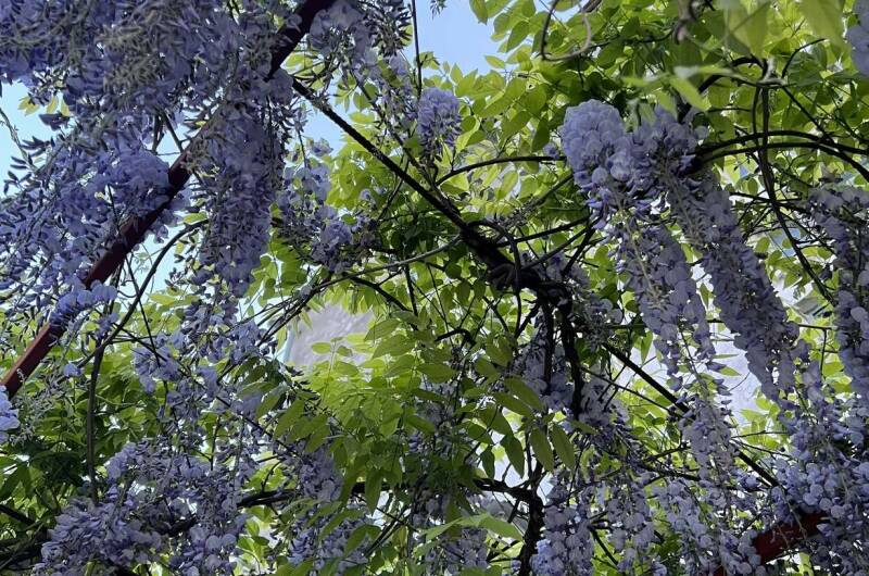 Изображение Изображение отеля / гостиницы "Гостевой дом «У Анны»" #11 #9