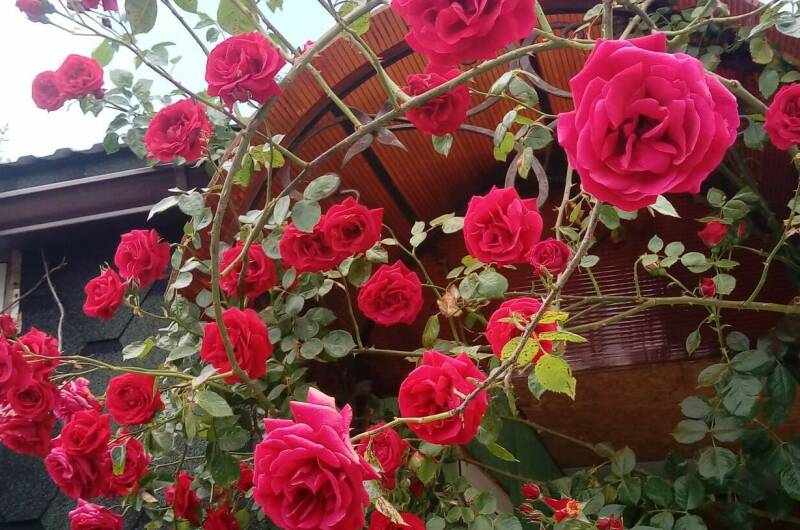 Изображение Изображение квартиры &quot;Дом под ключ «Калимера»&quot; #4 #4