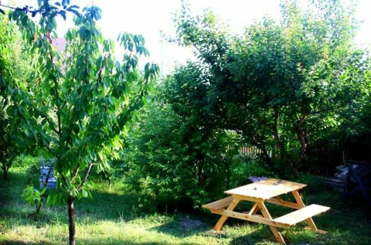 Изображение Изображение гостиницы &quot;Гостевой дом «Ольга»&quot; #8 #8