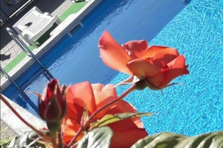 Изображение Изображение гостиницы "Гостевой дом «Морская миля»" #8 #8