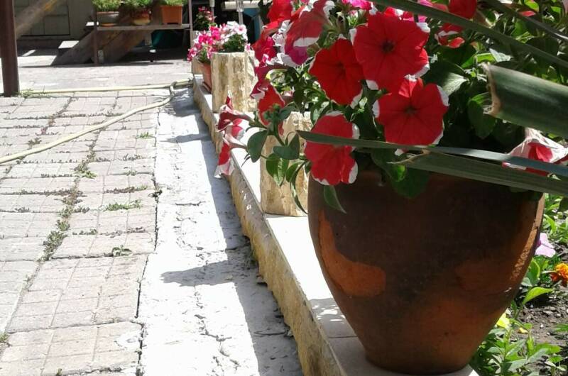 Изображение Изображение гостиницы &quot;Частный сектор «Свой дом»&quot; #3 #3