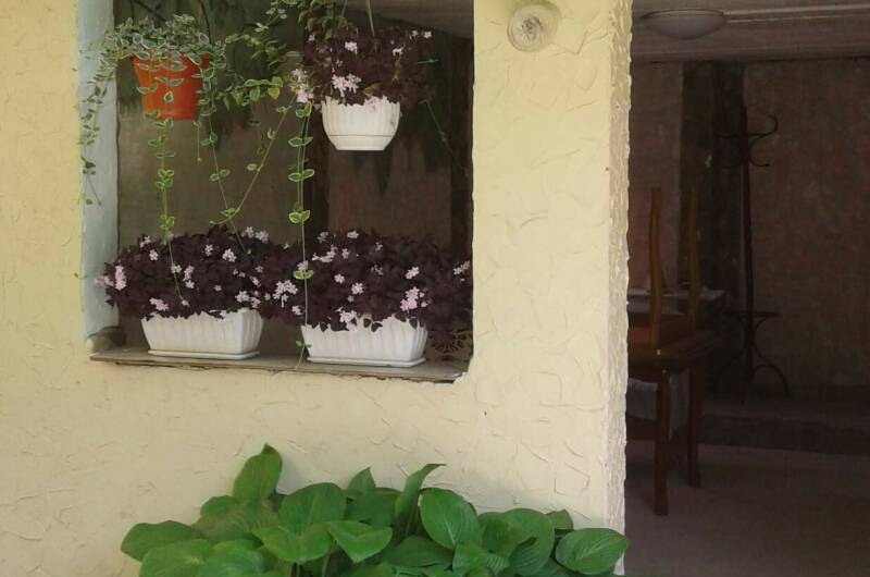 Изображение Изображение гостиницы &quot;Частный сектор «Свой дом»&quot; #4 #4