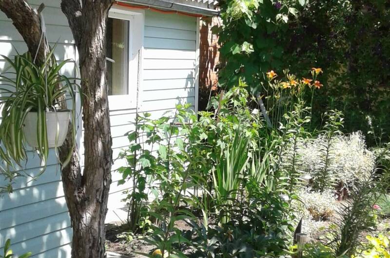 Изображение Изображение гостиницы &quot;Частный сектор «Свой дом»&quot; #5 #5