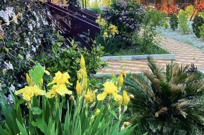 Изображение Изображение гостиницы "Гостевые домики «MiMi»" #6 #6