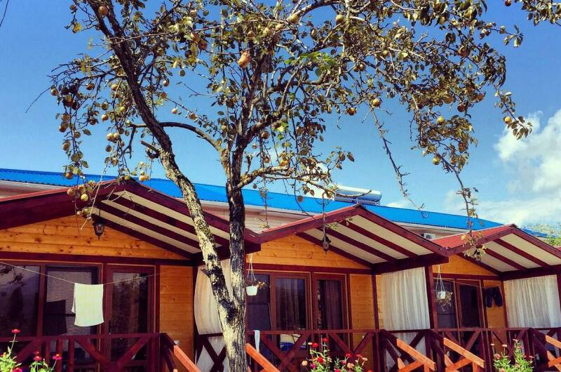 Изображение Изображение отеля / гостиницы "Гостевые домики «MiMi»" #11 #9