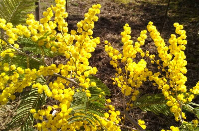 Изображение Изображение отеля / гостиницы "Частный дом «Анастасия»" #11 #9