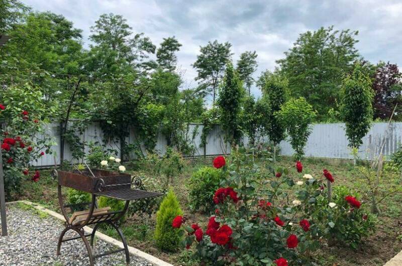 Изображение Изображение гостиницы &quot;Гостевой дом «Санта-София»&quot; #5 #5