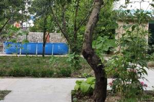 Изображение Гостевой дом «Семейный дворик» #6